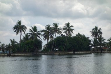 Hindistan, Kerala 'daki tuzlu su gölleri, göller, kanallar ve nehirlerden oluşan durgun bir ağ.