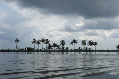 Hindistan, Kerala 'daki tuzlu su gölleri, göller, kanallar ve nehirlerden oluşan durgun bir ağ.