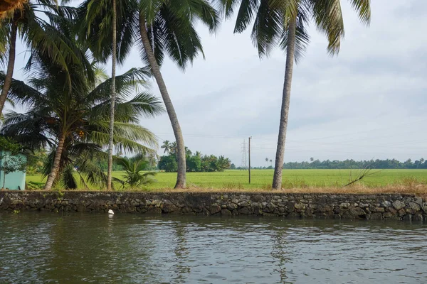 Réseau Lagunes Saumâtres Lacs Canaux Rivières Kerala Inde — Photo