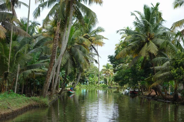 Backwaters Nätverk Bräckta Laguner Sjöar Kanaler Och Floder Kerala Indien — Stockfoto