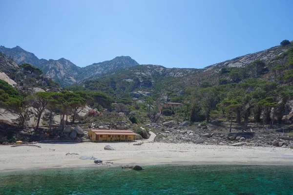 Cala Maestra Playa Isla Montecristo Anteriormente Oglasa Mar Tirreno Parte —  Fotos de Stock