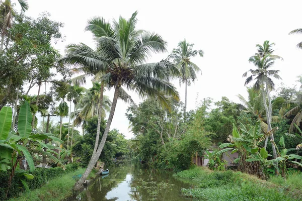 Backwaters Nätverk Bräckta Laguner Sjöar Kanaler Och Floder Kerala Indien — Stockfoto