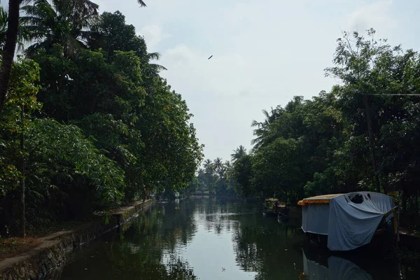 Réseau Lagunes Saumâtres Lacs Canaux Rivières Kerala Inde — Photo