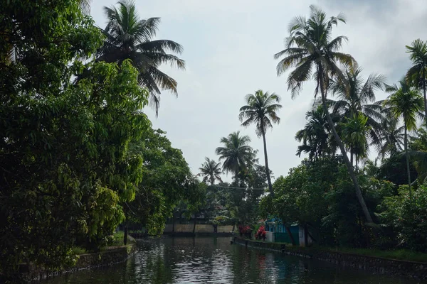 Backwaters Netzwerk Aus Brackwasserlagunen Seen Kanälen Und Flüssen Kerala Indien — Stockfoto