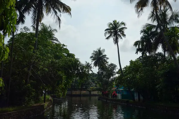 Backwaters Nätverk Bräckta Laguner Sjöar Kanaler Och Floder Kerala Indien — Stockfoto