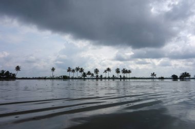 Hindistan, Kerala 'daki tuzlu su gölleri, göller, kanallar ve nehirlerden oluşan durgun bir ağ.