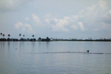 Hindistan, Kerala 'daki tuzlu su gölleri, göller, kanallar ve nehirlerden oluşan durgun bir ağ.
