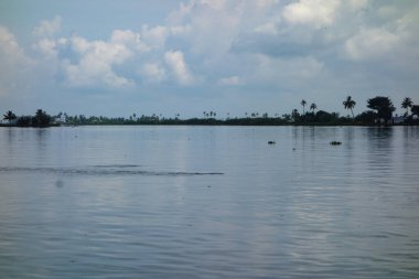 Hindistan, Kerala 'daki tuzlu su gölleri, göller, kanallar ve nehirlerden oluşan durgun bir ağ.