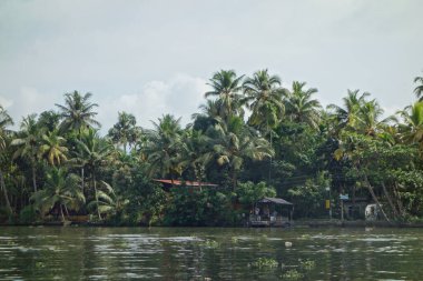 KERALA, Hindistan - CIRCA ECTOBER 2017: Tuzlu su gölleri, göller, kanallar ve nehirlerden oluşan durgun bir ağ