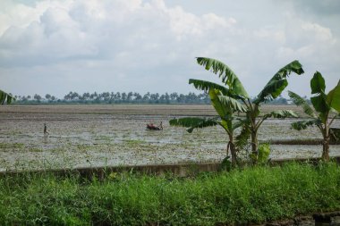 KERALA, Hindistan - CIRCA ECTOBER 2017: Tuzlu su gölleri, göller, kanallar ve nehirlerden oluşan durgun bir ağ