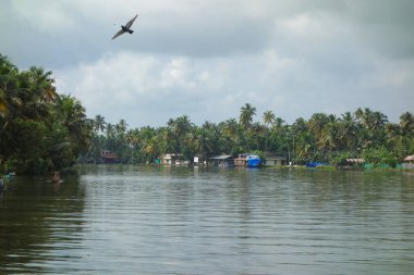 KERALA, Hindistan - CIRCA ECTOBER 2017: Tuzlu su gölleri, göller, kanallar ve nehirlerden oluşan durgun bir ağ