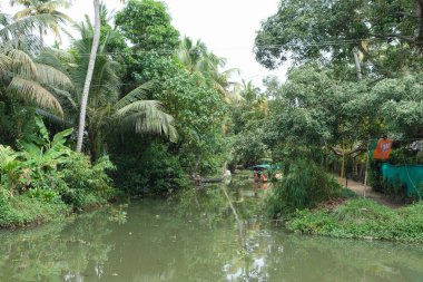 KERALA, Hindistan - CIRCA ECTOBER 2017: Tuzlu su gölleri, göller, kanallar ve nehirlerden oluşan durgun bir ağ