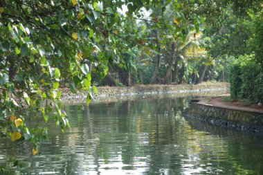 KERALA, Hindistan - CIRCA ECTOBER 2017: Tuzlu su gölleri, göller, kanallar ve nehirlerden oluşan durgun bir ağ