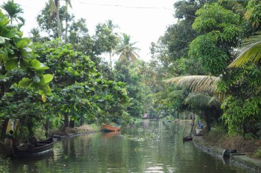 KERALA, Hindistan - CIRCA ECTOBER 2017: Tuzlu su gölleri, göller, kanallar ve nehirlerden oluşan durgun bir ağ