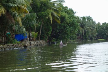 KERALA, Hindistan - CIRCA ECTOBER 2017: Tuzlu su gölleri, göller, kanallar ve nehirlerden oluşan durgun bir ağ