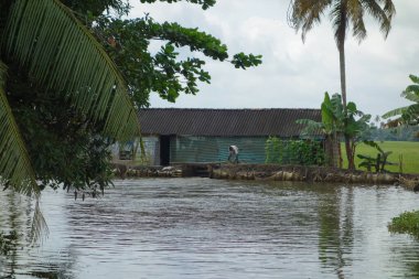 KERALA, Hindistan - CIRCA ECTOBER 2017: Tuzlu su gölleri, göller, kanallar ve nehirlerden oluşan durgun bir ağ