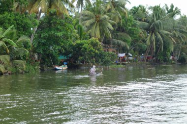 KERALA, Hindistan - CIRCA ECTOBER 2017: Tuzlu su gölleri, göller, kanallar ve nehirlerden oluşan durgun bir ağ