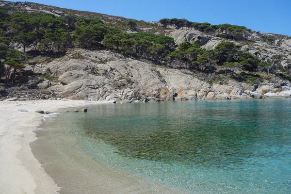 Cala Maestra Playa Isla Montecristo Anteriormente Oglasa Mar Tirreno Parte —  Fotos de Stock