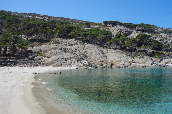 Spiaggia Cala Maestra Nell Isola Montecristo Oglasa Nel Mar Tirreno — Foto Stock