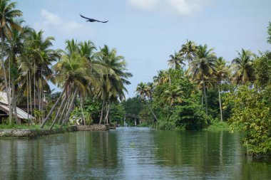 Hindistan, Kerala 'daki tuzlu su gölleri, göller, kanallar ve nehirlerden oluşan durgun bir ağ.