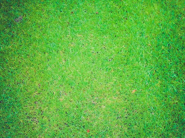 Retro olhar grama prado — Fotografia de Stock