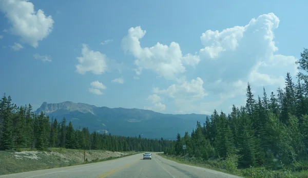 Jasper nasjonalpark i Alberta – stockfoto