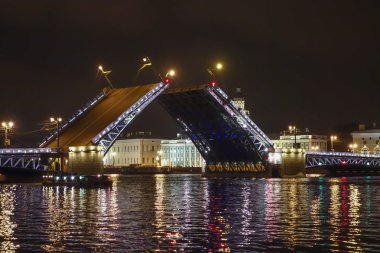 Palace Bridge St Petersburg Rusya