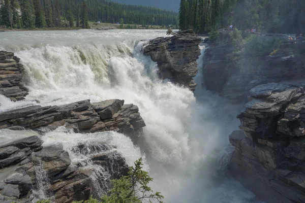 Athabasca Falls v Albertě — Stock fotografie