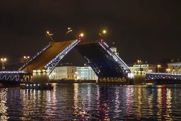 El Puente del Palacio en San Petersburgo Rusia —  Fotos de Stock