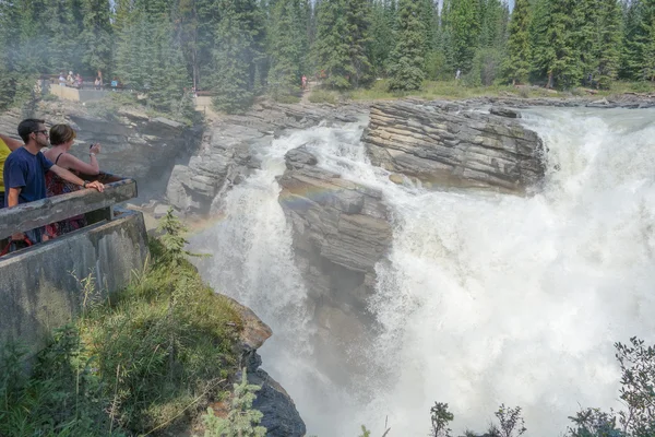 Athabasca Falls in Alberta — Stock Photo, Image