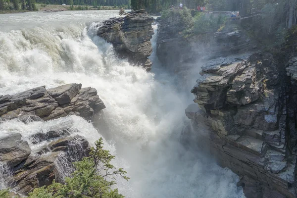 Athabasca Falls v Albertě — Stock fotografie