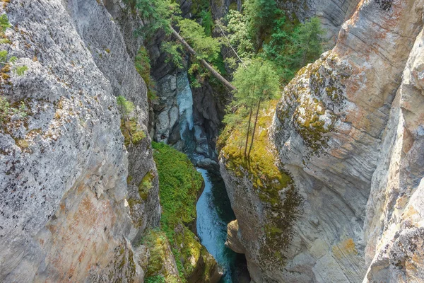 Maligne Canyon in Alberta — Stock Photo, Image