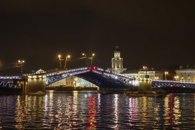 Palace Bridge St Petersburg Rusya