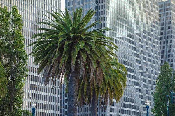 Vista de San Francisco Estados Unidos — Foto de Stock