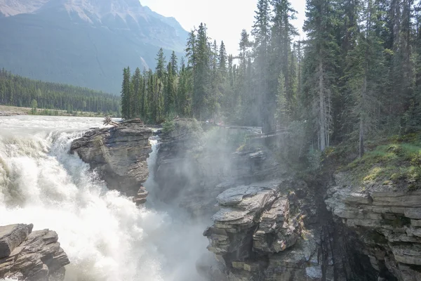 Alberta Athabasca-vízesés — Stock Fotó