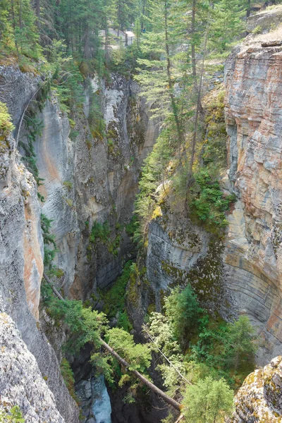 Maligne Canyon i Alberta — Stockfoto