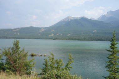 Jasper National Park Alberta