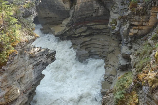 Athabasca Falls in Alberta — Stock Photo, Image