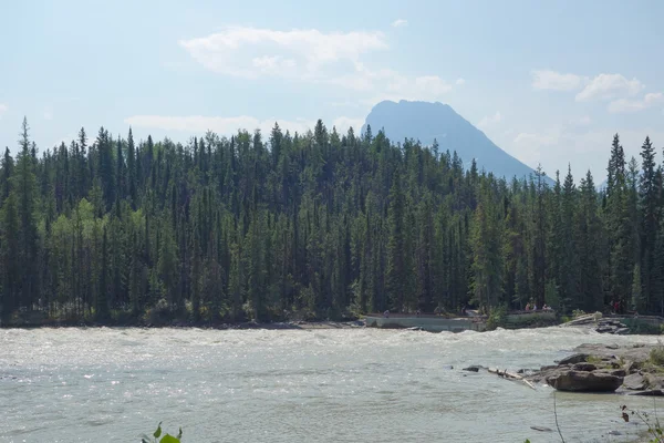 Athabasca Falls w Albercie — Zdjęcie stockowe