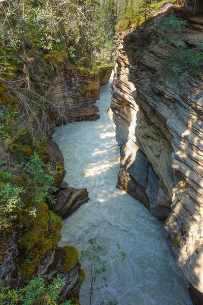 Athabasca Falls i Alberta — Stockfoto