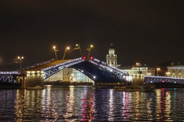 Palace Bridge St Petersburg Rusya