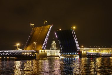 Palace Bridge St Petersburg Rusya