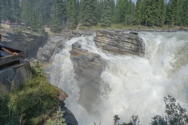 Athabasca Falls in Alberta — Stock Photo, Image