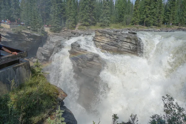 Alberta Athabasca-vízesés — Stock Fotó