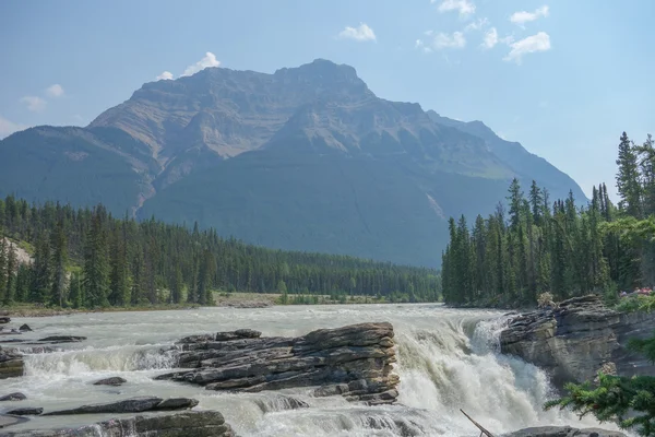 Athabasca Falls i Alberta – stockfoto