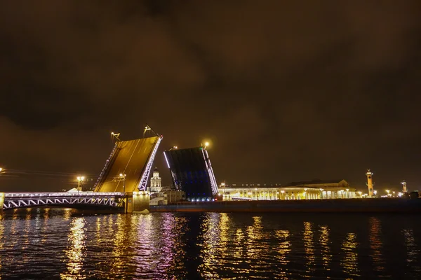 Palace Bridge i St Petersburg Ryssland — Stockfoto