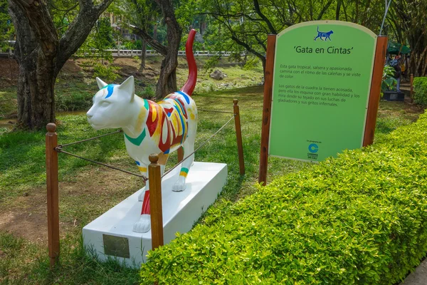Las Gatas Cali, Kolombiya