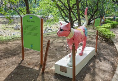 Las Gatas Cali, Kolombiya