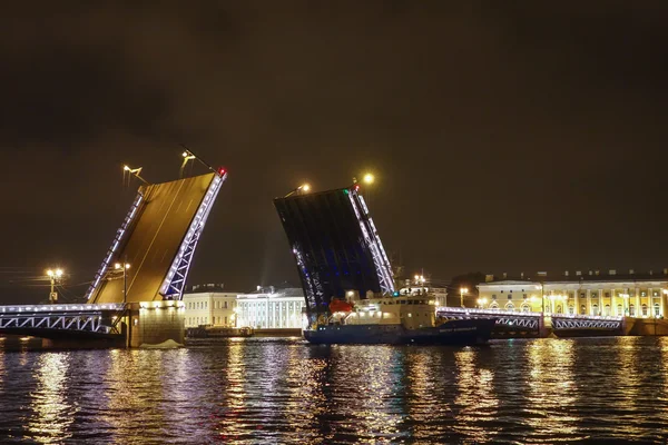 El Puente del Palacio en San Petersburgo Rusia —  Fotos de Stock