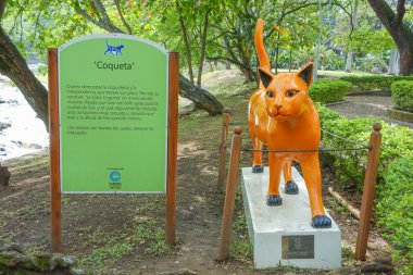 Las Gatas Cali, Kolombiya